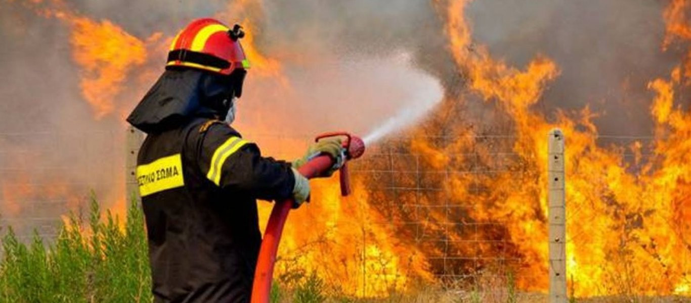 Αρκαδία: Φωτιά στην περιοχή Ελαίας Γορτυνίας